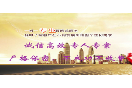 开平债务清欠服务